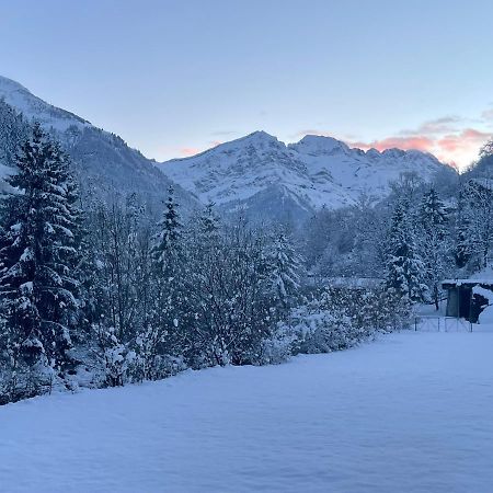 Mountain River Appart Val dʼIlliez Exterior foto